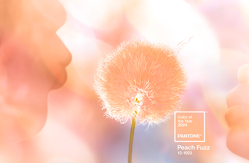 Peach Fuzz: мебель в цвете Pantone 2024 года