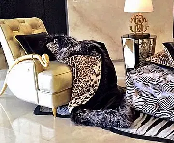 Изобилие красоты в гостиной Cavalli
