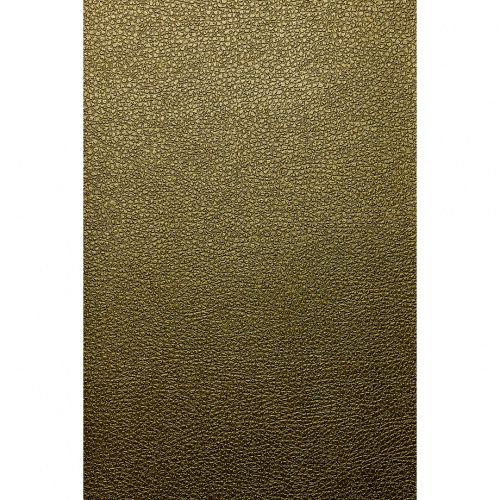 Обои Roberto Cavalli art.RC17081