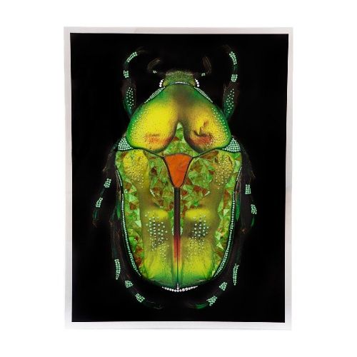 Декоративное панно Scarabeo 1