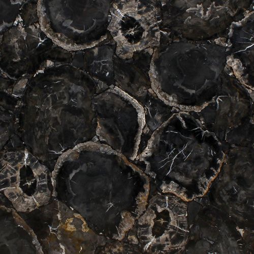 Натуральный камень CHARMESTONE Petrified Wood Black