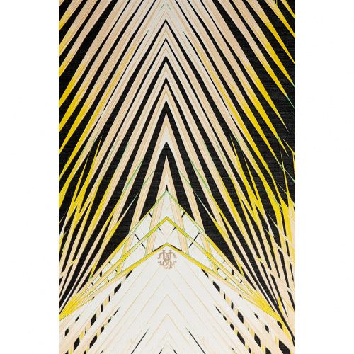 Обои Roberto Cavalli art.RC17002