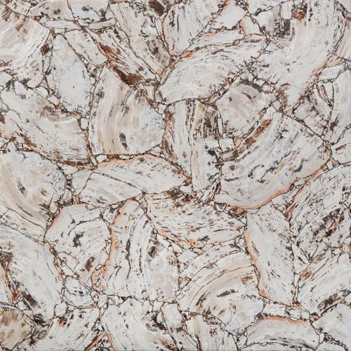 Натуральный камень CHARMESTONE Petrified Wood White