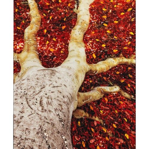 Декоративное панно Albero