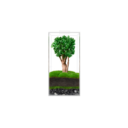 Плантариум Visione Verde