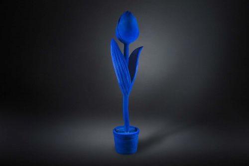 Декоративный тюльпан MAXI TULIP