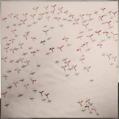 Декоративное панно FLAMINGOS