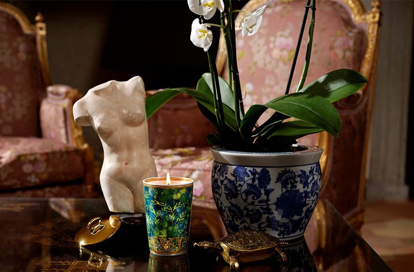 Джунгли в доме: коллекция Versace Home 2020
