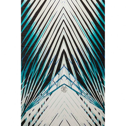 Обои Roberto Cavalli art.RC17001