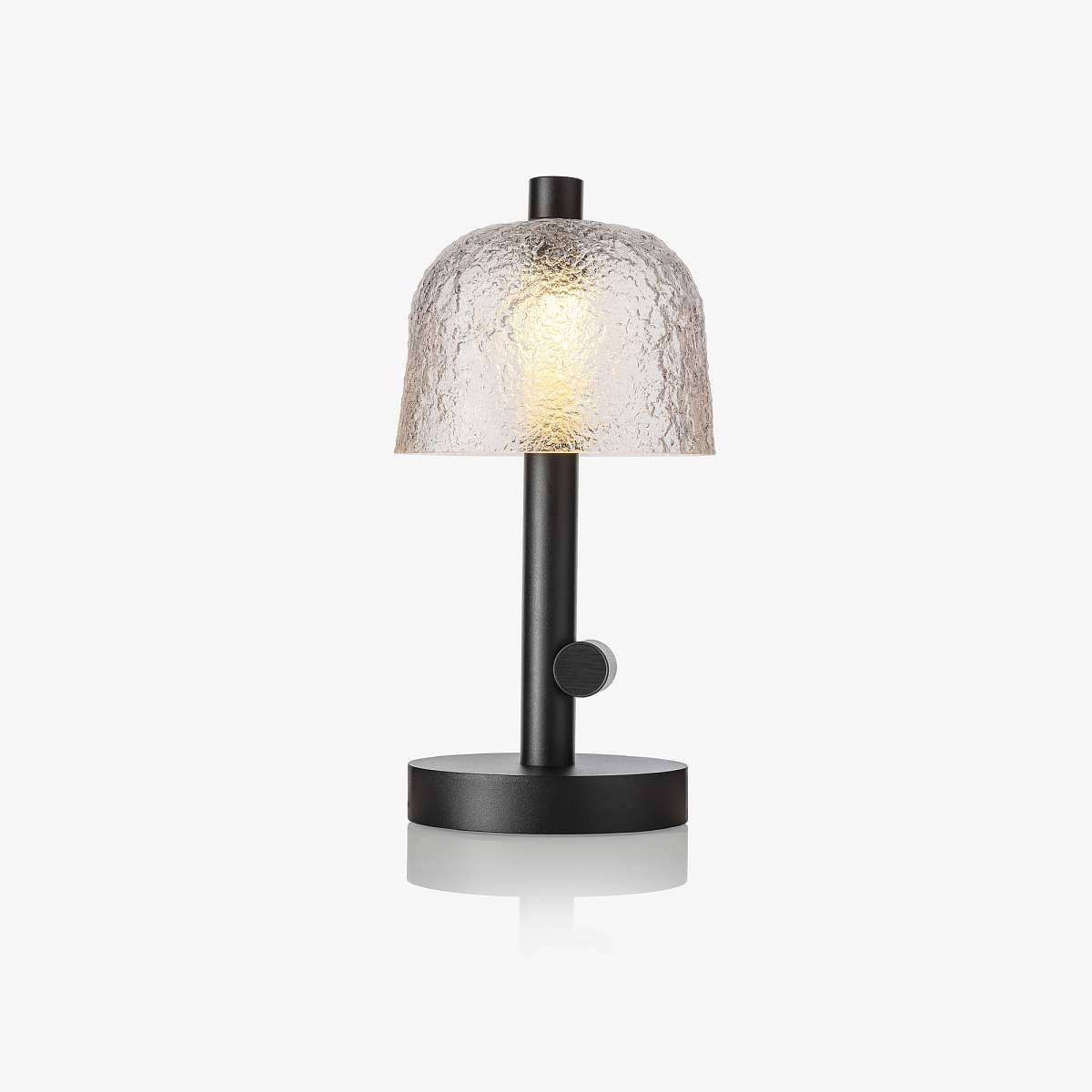 004_Lasvit_Symbioosa_Table Lamp_CL124TA-1CE00-0150S1.jpg
