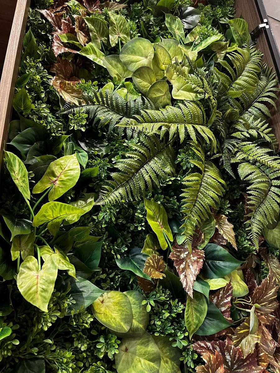 Фитопанно. Декоративное оформление