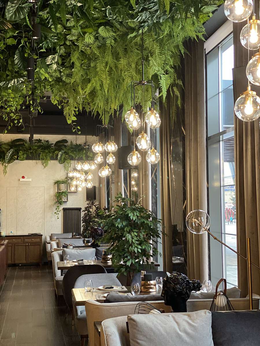 Потолок «VINOGRAD»