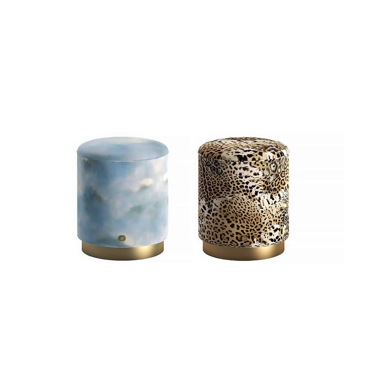 RCHI_2023_Wild-Leda-capsule_brochure MilanFair.jpg