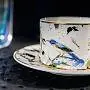 Чашка с блюдцем для чая Garden`s Birds Roberto Cavalli Home Interiors. Вид 4