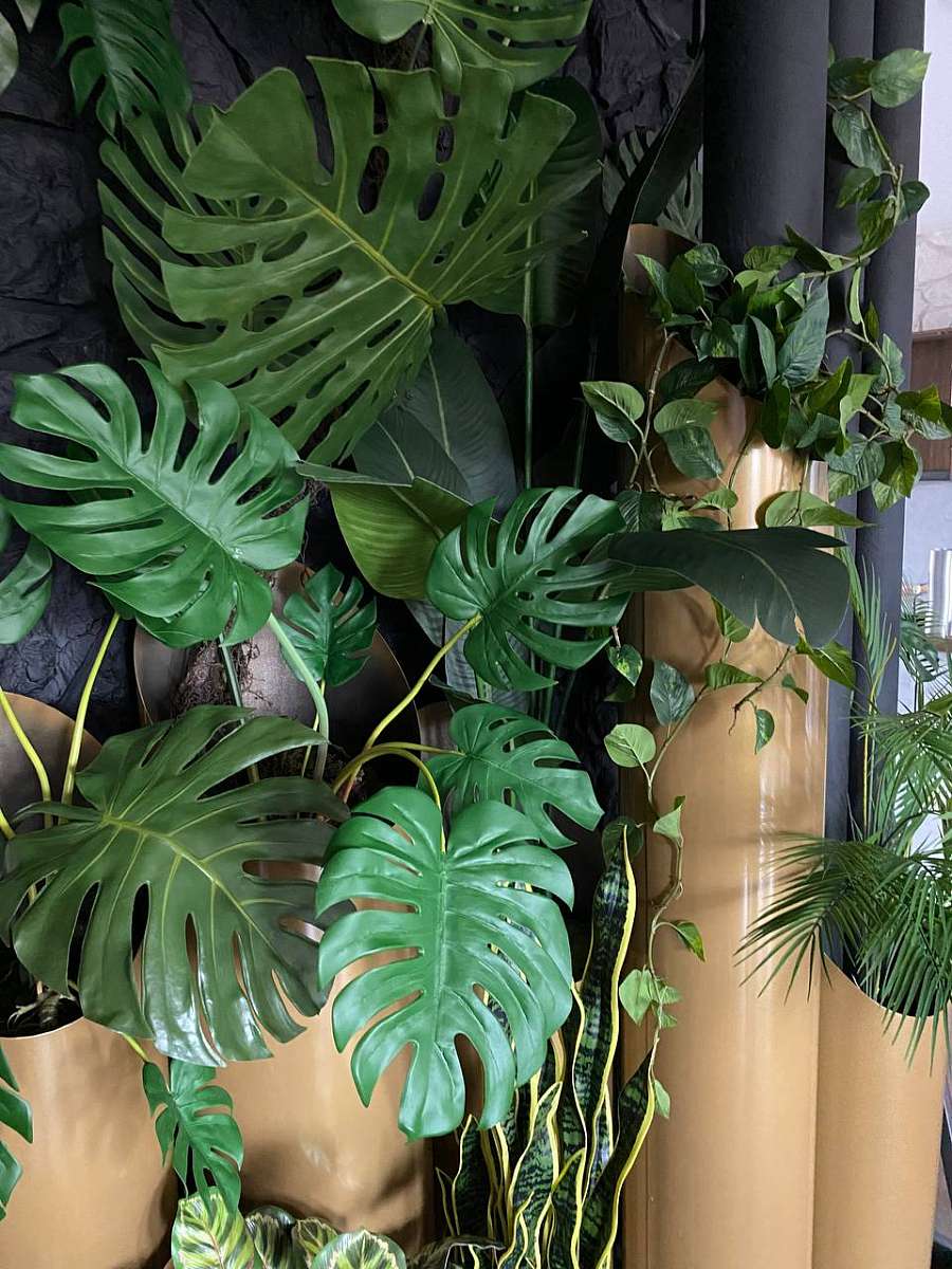 Растения в трубах_2.jpg