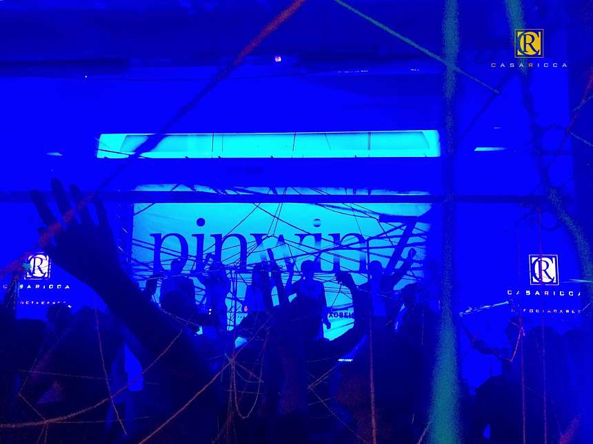 Яркая дизайнерская сеть от  Casa Ricca