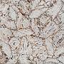 Натуральный камень CHARMESTONE Petrified Wood White . Вид 1