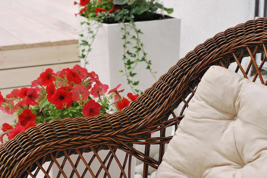 Добро пожаловать в Casa Ricca Patio