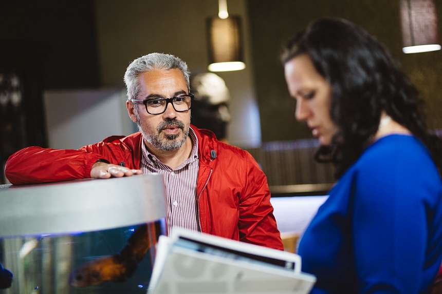 ArdoStudio: презентация AM-Group