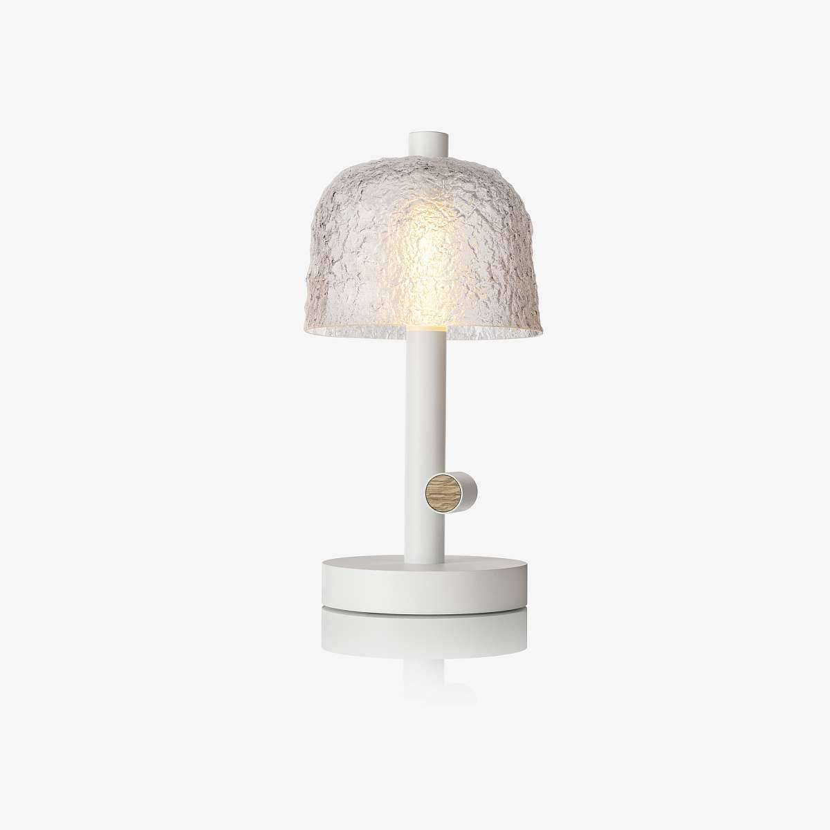 001_Lasvit_Symbioosa_Table Lamp_CL124TA-1CE00-0149S1.jpg