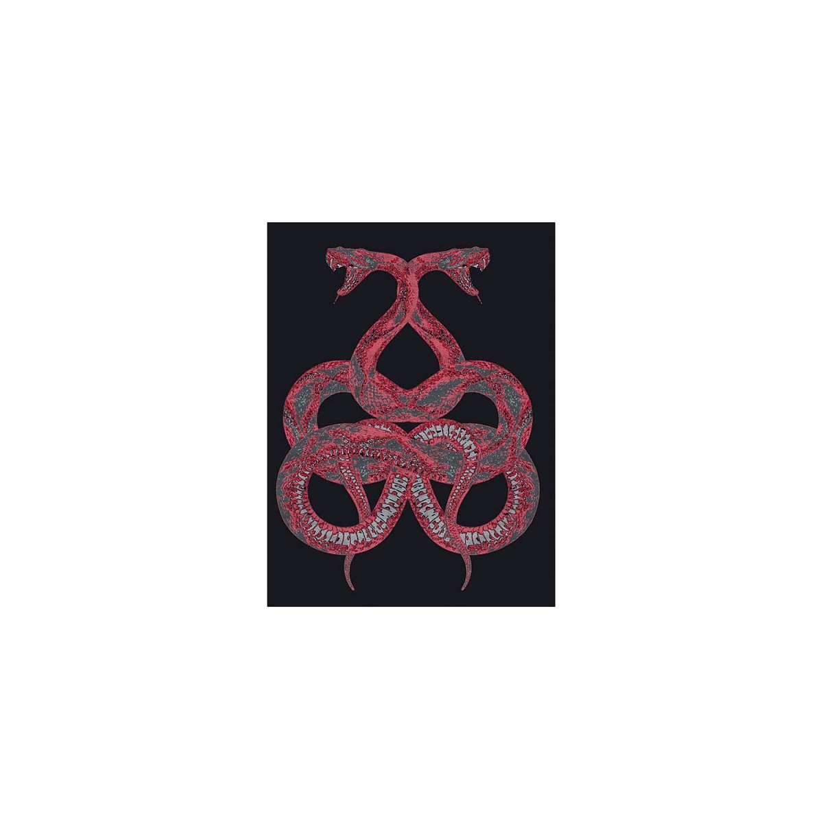 RCHI-SNAKE-rug-slider2.jpg