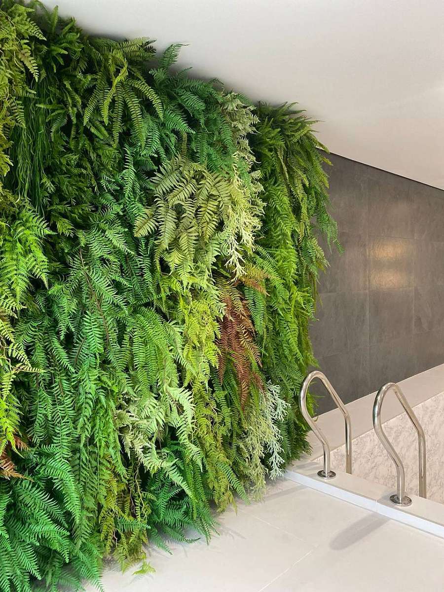 Фитостена в бассейне