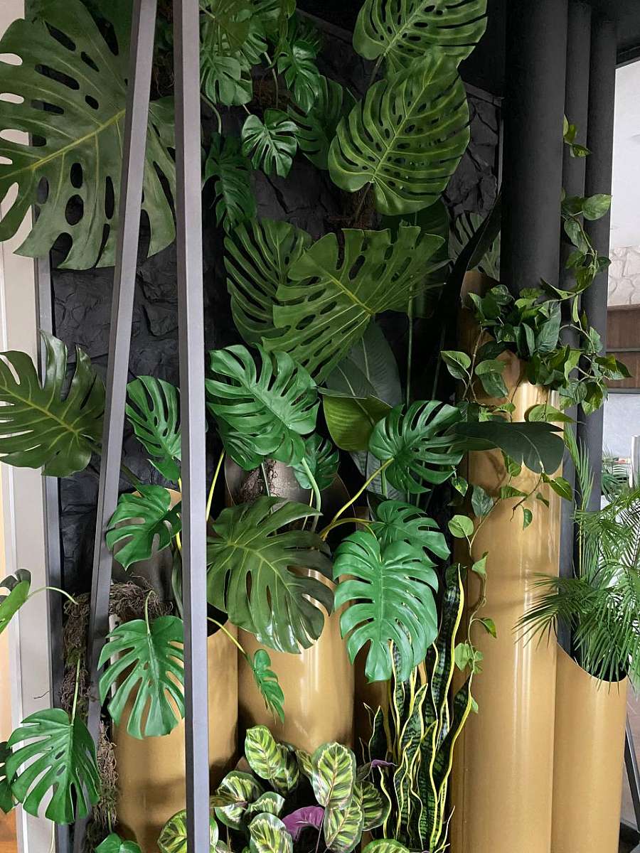 Растения в трубах: ПРОМЫШЛЕННЫЙ АРТ