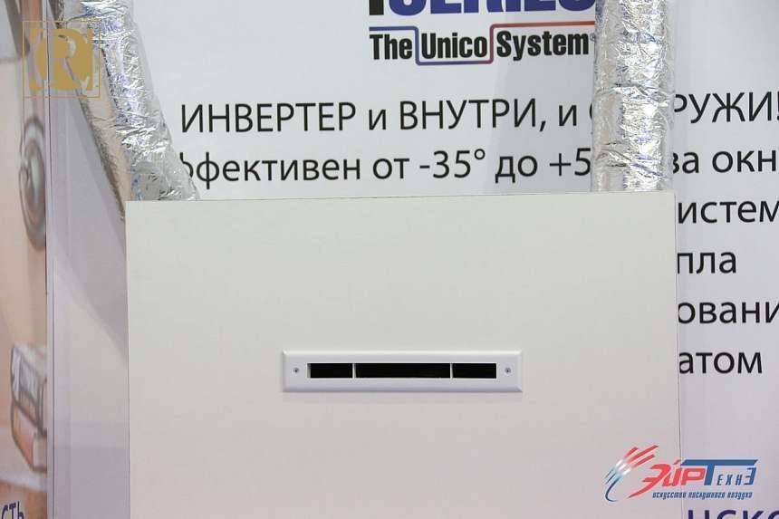 1Y1B5762.jpg