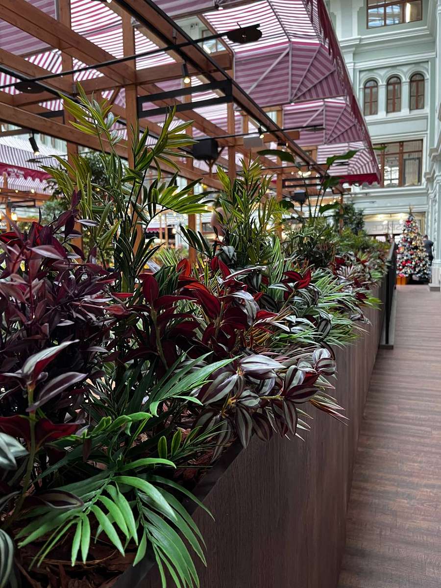 Зонирование в зоне ресторана