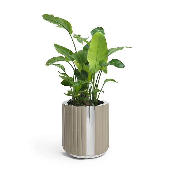 FANCY_cache-pot_gallery_02.jpg