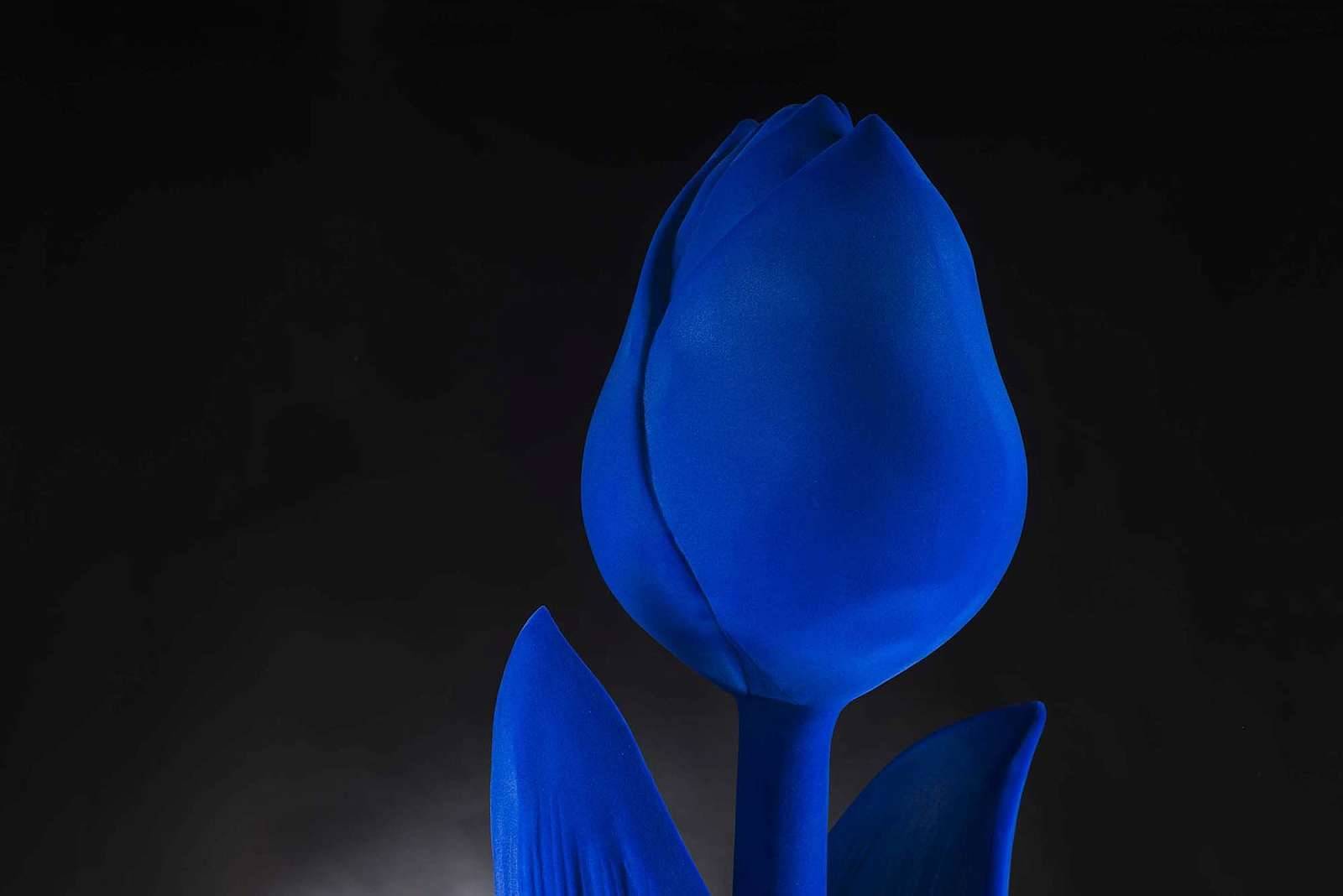 Декоративный тюльпан MAXI TULIP