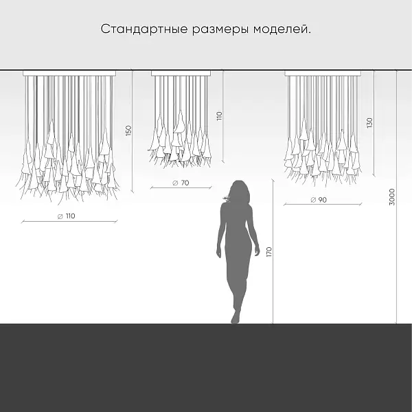 5.png.webp